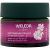 Weleda Rozjasňujúci nočný krém Divoká ruža a Biely čaj 40 ml Weleda Rozjasňujúci nočný krém Divoká ruža a Biely čaj 40 ml