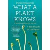 What a Plant Knows What a Plant Knows