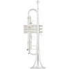 ARNOLDS&SONS Arnolds & Sons Bb-Trúbka ATR-5200GS ARNOLDS&SONS Arnolds & Sons Bb-Trúbka ATR-5200GS