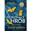 Dokonalý hrob - Stacy Green Dokonalý hrob - Stacy Green
