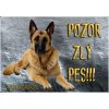 Tabuľka pozor pes, nemecký ovčiak (Výstražna tabuľka na bránu nemecký ovciak) Tabuľka pozor pes, nemecký ovčiak (Výstražna tabuľka na bránu nemecký ovciak)