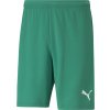 Puma | teamRISE Short | zelená| M Puma | teamRISE Short | zelená| M
