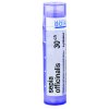 Sepia Officinalis gra.1 x 4 g 30CH Sepia Officinalis gra.1 x 4 g 30CH