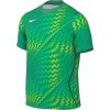 Nike | Dri-FIT Gardien VI Goalkeeper | zelená| M Nike | Dri-FIT Gardien VI Goalkeeper | zelená| M