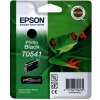 Epson T0541 Photo Black - originálny