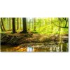 Foto obraz akrylové sklo Slnečné lúče les 100x50 cm Foto obraz akrylové sklo Slnečné lúče les 100x50 cm