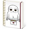 Harry Potter Kroužkový zápisník A5 Harry Potter Kroužkový zápisník A5
