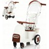 Detská trojkolka s vodiacou tyčou: Ľahký kočík pre batoľatá - Skladací kočík Detská trojkolka s vodiacou tyčou: Ľahký kočík pre batoľatá - Skladací kočík