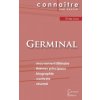 Fiche de lecture Germinal de Emile Zola (Analyse litteraire de reference et resume complet) Fiche de lecture Germinal de Emile Zola (Analyse litteraire de reference et resume complet)