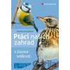 Ptáci našich zahrad - Daniela Straußová Ptáci našich zahrad - Daniela Straußová