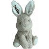 Little Dutch Králiček plyšový 15 cm Newborn Naturals Little Dutch Králiček plyšový 15 cm Newborn Naturals