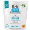 Brit Care Grain-free Junior Large Breed Salmon 12 kg Brit Care Grain-free Junior Large Breed Salmon 12 kg