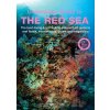 An Underwater Guide to the Red Sea - Lawson Wood An Underwater Guide to the Red Sea - Lawson Wood