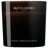 Molton Brown Coastal Cypress & Sea Fennel 600 g Molton Brown Coastal Cypress & Sea Fennel 600 g