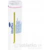 Idealfelex - ovínadlo elastické krátkoťažné 20 cm x5 m 1 ks Idealfelex - ovínadlo elastické krátkoťažné 20 cm x5 m 1 ks