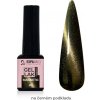 Expa Nails Gel lak Magnetic No.10 5ml