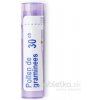 Pollen De Graminees gra.1 x 4 g 30CH