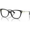 Jimmy Choo JC3007HB 5000
