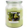 BISPOL Garden Mint & Avocado 500 g