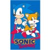 Carbotex Bavlnený uteráček 30 x 50 cm Ježko Sonic a Tails Carbotex Bavlnený uteráček 30 x 50 cm Ježko Sonic a Tails