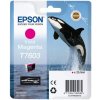 Epson T7603 Ink Cartridge Vivid Magenta C13T76034N10 Epson T7603 Ink Cartridge Vivid Magenta C13T76034N10