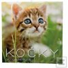 Kočky 2026 - nástěnný ka… Kočky 2026 - nástěnný ka…