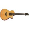 Sigma Guitars SGBCE-5