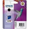 EPSON R265/360,RX560 Black Ink cartridge (T0801) EPSON R265/360,RX560 Black Ink cartridge (T0801)