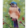 Zuty – Maľovanie Podľa Čísel – Modrý Vtáčik Na Vetvičke (Myroslava Voloschuk), 80 × 100 cm, Plátno 8596530222781 Zuty – Maľovanie Podľa Čísel – Modrý Vtáčik Na Vetvičke (Myroslava Voloschuk), 80 × 100 cm, Plátno 8596530222781
