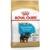 BHN YORKSHIRE PUPPY 1,5 kg BHN YORKSHIRE PUPPY 1,5 kg