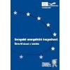 Evropská energetická bezpečnost - Waisová Šárka Evropská energetická bezpečnost - Waisová Šárka