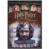 Magic Box Harry Potter a Väzeň z Azkabanu (SK) W01058 - DVD film Magic Box Harry Potter a Väzeň z Azkabanu (SK) W01058 - DVD film