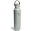Hydro Flask Standard Flex Cap termoska 710 ml agave