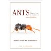 Ants of Africa and Madagascar Ants of Africa and Madagascar