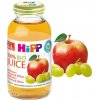 HiPP Bio Jablkovo hroznová šťava od ukonč. 4 mesiaca 200 ml HiPP Bio Jablkovo hroznová šťava od ukonč. 4 mesiaca 200 ml