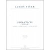 Sonata VI