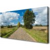 Obraz na plátne Dedina cesta dlažba krajina 100x50 cm Obraz na plátne Dedina cesta dlažba krajina 100x50 cm
