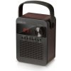 CARNEO F90 FM rádio, bluetooth reproduktor, black/wood CARNEO F90 FM rádio, bluetooth reproduktor, black/wood