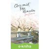E-kniha Chci sníst tvoji slinivku - Yoru Sumino E-kniha Chci sníst tvoji slinivku - Yoru Sumino
