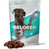 Kĺbová výživa pre veľké psy GELOREN DOG L-XL 420G (60 KS) Kĺbová výživa pre veľké psy GELOREN DOG L-XL 420G (60 KS)