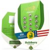 Royal Queen Seeds HulkBerry AUTO semienka neobsahujú THC 3 ks Royal Queen Seeds HulkBerry AUTO semienka neobsahujú THC 3 ks
