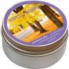 Stylies Aroma gel Cedr Santalové dřevo 60 g Stylies Aroma gel Cedr Santalové dřevo 60 g