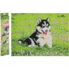 Grafix Diamantové maľovanie Husky 40 x 50 cm Grafix Diamantové maľovanie Husky 40 x 50 cm