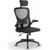 Ergonomická kancelárska stolička, čierna s opierkou hlavy Ergonomická kancelárska stolička, čierna s opierkou hlavy