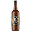 Nachmelená opice Nectaron Hazy Pale Ale Nachmelená opice Nectaron Hazy Pale Ale