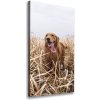 Vertikálny foto obraz na plátne Golden retriever 50x100 cm Vertikálny foto obraz na plátne Golden retriever 50x100 cm