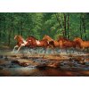 COBBLE HILL Klus v Spring Creek 1000 dielov COBBLE HILL Klus v Spring Creek 1000 dielov