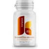 Kompava Boswellia serrata 305 mg 90 kapsúl Kompava Boswellia serrata 305 mg 90 kapsúl