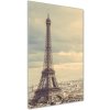 Vertikálny foto obraz sklo tvrdené Eiffelová veža Paríž 50x100 cm Vertikálny foto obraz sklo tvrdené Eiffelová veža Paríž 50x100 cm