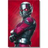 Ant Man superhrdina obraz na stenu Ant Man superhrdina obraz na stenu